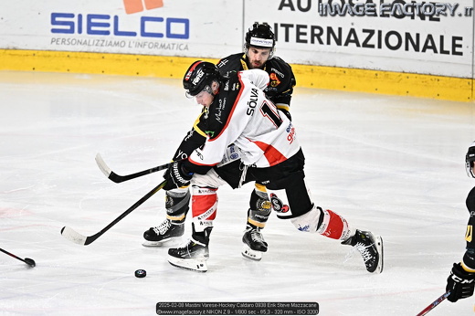 2025-02-08 Mastini Varese-Hockey Caldaro 0938 Erik Steve Mazzacane
